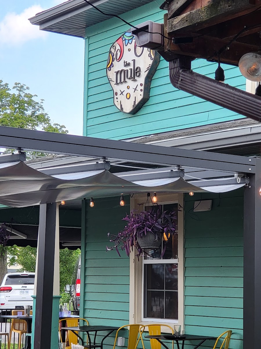 The Mule Port Dover
